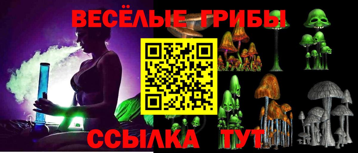Псилоцибиновые грибы Magic Shrooms  Псилоцибиновые грибы Magic Shrooms  Приморско-Ахтарск  Вход с VPN 