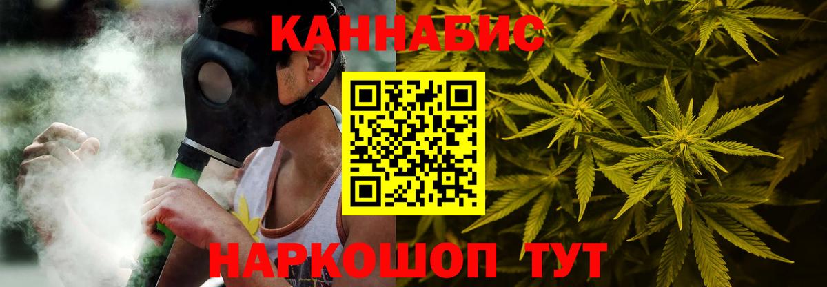 Канабис сатива Приморско-Ахтарск
